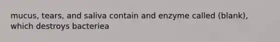 mucus, tears, and saliva contain and enzyme called (blank), which destroys bacteriea