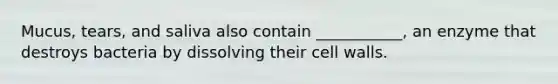 Mucus, tears, and saliva also contain ___________, an enzyme that destroys bacteria by dissolving their cell walls.