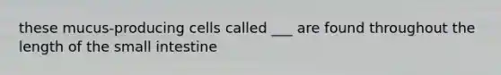 these mucus-producing cells called ___ are found throughout the length of the small intestine