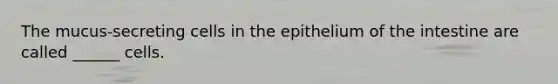 The mucus-secreting cells in the epithelium of the intestine are called ______ cells.