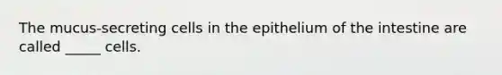 The mucus-secreting cells in the epithelium of the intestine are called _____ cells.