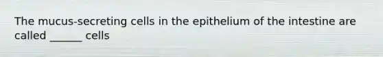 The mucus-secreting cells in the epithelium of the intestine are called ______ cells