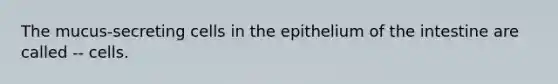 The mucus-secreting cells in the epithelium of the intestine are called -- cells.