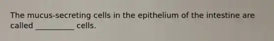The mucus-secreting cells in the epithelium of the intestine are called __________ cells.