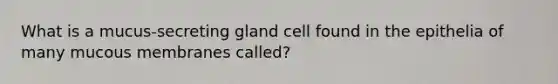 What is a mucus-secreting gland cell found in the epithelia of many mucous membranes called?