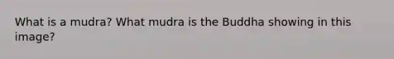 What is a mudra? What mudra is the Buddha showing in this image?