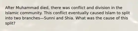 After Muhammad died, there was conflict and division in the Islamic community. This conflict eventually caused Islam to split into two branches—Sunni and Shia. What was the cause of this split?