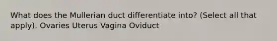 What does the Mullerian duct differentiate into? (Select all that apply). Ovaries Uterus Vagina Oviduct