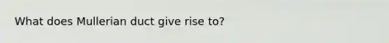 What does Mullerian duct give rise to?