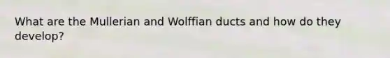 What are the Mullerian and Wolffian ducts and how do they develop?