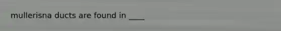 mullerisna ducts are found in ____