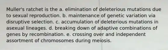 Muller's ratchet is the a. elimination of deleterious mutations due to sexual reproduction. b. maintenance of genetic variation via disruptive selection. c. accumulation of deleterious mutations in asexual lineages. d. breaking down of adaptive combinations of genes by recombination. e. crossing over and independent assortment of chromosomes during meiosis.