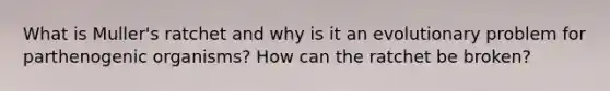 What is Muller's ratchet and why is it an evolutionary problem for parthenogenic organisms? How can the ratchet be broken?