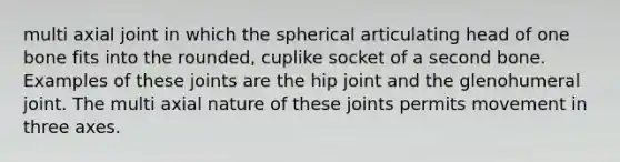 multi axial joint in which the spherical articulating head of one bone fits into the rounded, cuplike socket of a second bone. Examples of these joints are the hip joint and the glenohumeral joint. The multi axial nature of these joints permits movement in three axes.