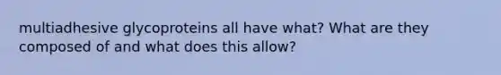 multiadhesive glycoproteins all have what? What are they composed of and what does this allow?