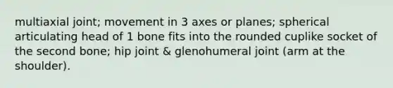 multiaxial joint; movement in 3 axes or planes; spherical articulating head of 1 bone fits into the rounded cuplike socket of the second bone; hip joint & glenohumeral joint (arm at the shoulder).