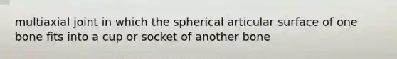 multiaxial joint in which the spherical articular surface of one bone fits into a cup or socket of another bone