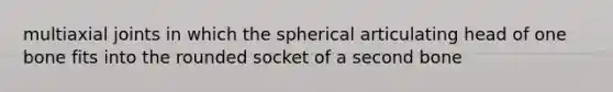 multiaxial joints in which the spherical articulating head of one bone fits into the rounded socket of a second bone