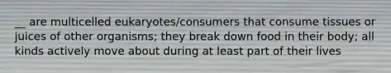 __ are multicelled eukaryotes/consumers that consume tissues or juices of other organisms; they break down food in their body; all kinds actively move about during at least part of their lives