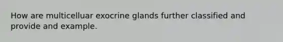 How are multicelluar exocrine glands further classified and provide and example.