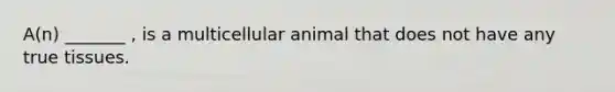 A(n) _______ , is a multicellular animal that does not have any true tissues.