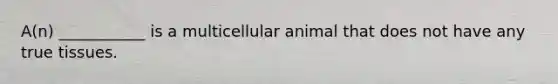 A(n) ___________ is a multicellular animal that does not have any true tissues.