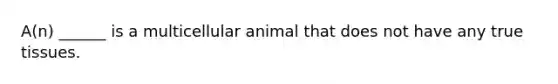 A(n) ______ is a multicellular animal that does not have any true tissues.