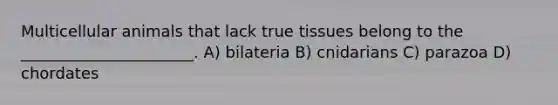 Multicellular animals that lack true tissues belong to the ______________________. A) bilateria B) cnidarians C) parazoa D) chordates