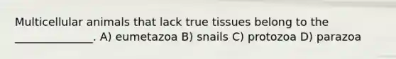 Multicellular animals that lack true tissues belong to the ______________. A) eumetazoa B) snails C) protozoa D) parazoa