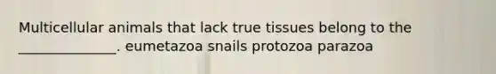 Multicellular animals that lack true tissues belong to the ______________. eumetazoa snails protozoa parazoa