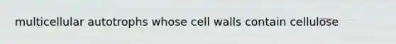 multicellular autotrophs whose cell walls contain cellulose