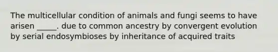 The multicellular condition of animals and fungi seems to have arisen _____. due to common ancestry by convergent evolution by serial endosymbioses by inheritance of acquired traits