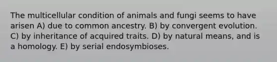 The multicellular condition of animals and fungi seems to have arisen A) due to common ancestry. B) by convergent evolution. C) by inheritance of acquired traits. D) by natural means, and is a homology. E) by serial endosymbioses.