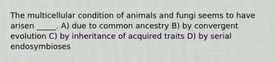 The multicellular condition of animals and fungi seems to have arisen _____. A) due to common ancestry B) by convergent evolution C) by inheritance of acquired traits D) by serial endosymbioses