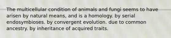 The multicellular condition of animals and fungi seems to have arisen by natural means, and is a homology. by serial endosymbioses. by convergent evolution. due to common ancestry. by inheritance of acquired traits.