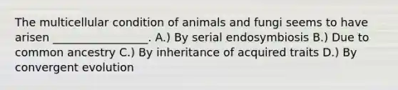 The multicellular condition of animals and fungi seems to have arisen _________________. A.) By serial endosymbiosis B.) Due to common ancestry C.) By inheritance of acquired traits D.) By convergent evolution