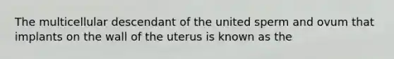 The multicellular descendant of the united sperm and ovum that implants on the wall of the uterus is known as the​