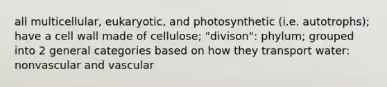 all multicellular, eukaryotic, and photosynthetic (i.e. autotrophs); have a cell wall made of cellulose; "divison": phylum; grouped into 2 general categories based on how they transport water: nonvascular and vascular