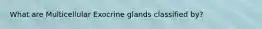 What are Multicellular Exocrine glands classified by?