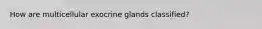 How are multicellular exocrine glands classified?