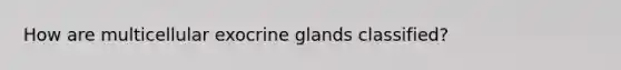 How are multicellular exocrine glands classified?