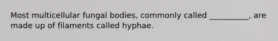 ​Most multicellular fungal bodies, commonly called __________, are made up of filaments called hyphae.