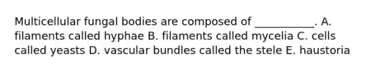 Multicellular fungal bodies are composed of ___________. A. filaments called hyphae B. filaments called mycelia C. cells called yeasts D. vascular bundles called the stele E. haustoria