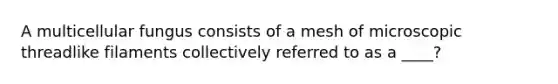 A multicellular fungus consists of a mesh of microscopic threadlike filaments collectively referred to as a ____?