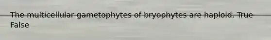 The multicellular gametophytes of bryophytes are haploid. True False