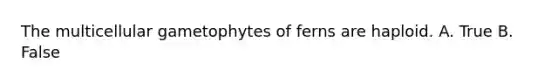 The multicellular gametophytes of ferns are haploid. A. True B. False