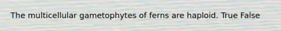 The multicellular gametophytes of ferns are haploid. True False