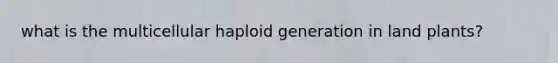 what is the multicellular haploid generation in land plants?