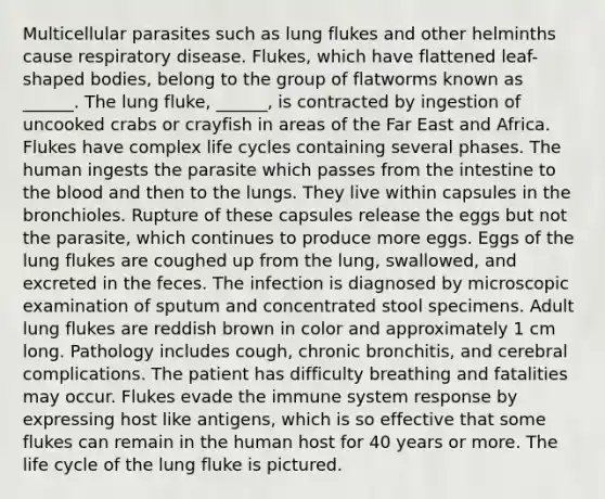 Multicellular parasites such as lung flukes and other helminths cause respiratory disease. Flukes, which have flattened leaf-shaped bodies, belong to the group of flatworms known as ______. The lung fluke, ______, is contracted by ingestion of uncooked crabs or crayfish in areas of the Far East and Africa. Flukes have complex life cycles containing several phases. The human ingests the parasite which passes from the intestine to the blood and then to the lungs. They live within capsules in the bronchioles. Rupture of these capsules release the eggs but not the parasite, which continues to produce more eggs. Eggs of the lung flukes are coughed up from the lung, swallowed, and excreted in the feces. The infection is diagnosed by microscopic examination of sputum and concentrated stool specimens. Adult lung flukes are reddish brown in color and approximately 1 cm long. Pathology includes cough, chronic bronchitis, and cerebral complications. The patient has difficulty breathing and fatalities may occur. Flukes evade the immune system response by expressing host like antigens, which is so effective that some flukes can remain in the human host for 40 years or more. The life cycle of the lung fluke is pictured.