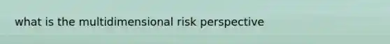 what is the multidimensional risk perspective